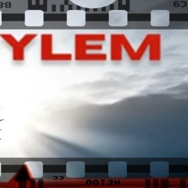 Ylem02